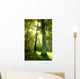 Sun Beams through Trees Wall Decal