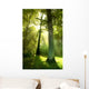 Sun Beams through Trees Wall Decal