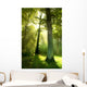 Sun Beams through Trees Wall Decal