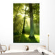 Sun Beams through Trees Wall Decal