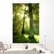 Sun Beams through Trees Wall Decal