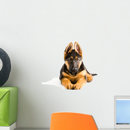 Cute Puppy Dog German Wall Decal