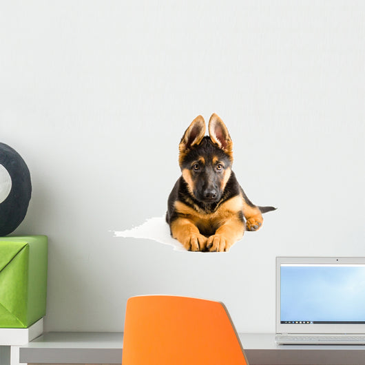 Cute Puppy Dog German Wall Decal