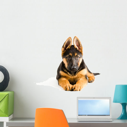 Cute Puppy Dog German Wall Decal