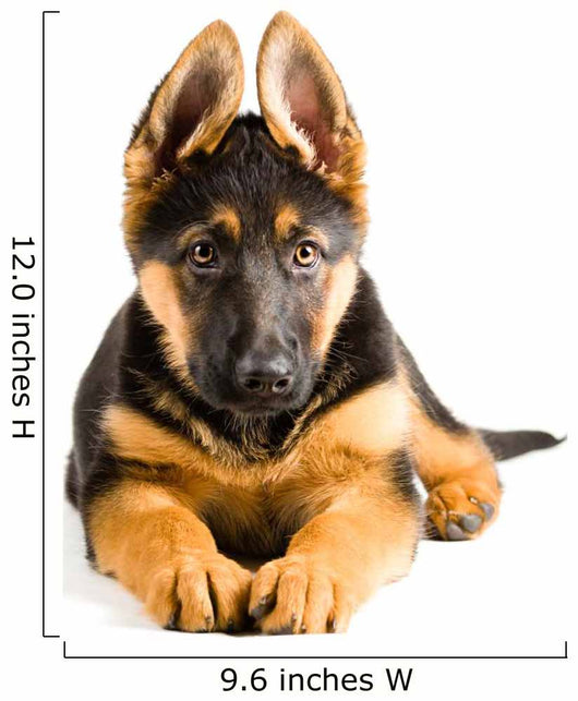 Cute Puppy Dog German Wall Decal