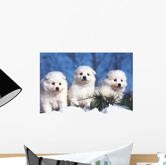 Trois Chiots American Eskimo Wall Decal