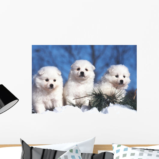 Trois Chiots American Eskimo Wall Decal