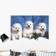 Trois Chiots American Eskimo Wall Decal