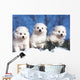 Trois Chiots American Eskimo Wall Decal