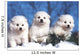 Trois Chiots American Eskimo Wall Decal