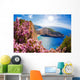 Navagio Beach with Shipwreck Wall Decal
