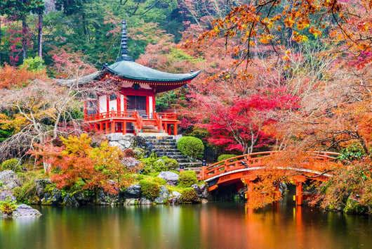 Kyoto Japan Daigoji Temple Wall Decal