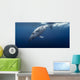 Gorgeous Humpback Whale Wall Decal