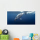 Gorgeous Humpback Whale Wall Decal