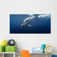 Gorgeous Humpback Whale Wall Decal