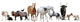 Farm Animals Line-up Wall Decal Sticker Set