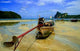 Phi Phi Wall Decal