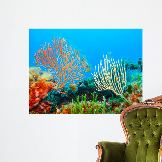 Beautiful Gorgonians Wall Decal