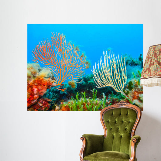 Beautiful Gorgonians Wall Decal