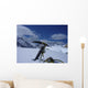And Piolet Mountain Wall Decal