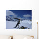 And Piolet Mountain Wall Decal