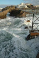 Musee La Mer Biarritz Wall Decal