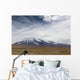 Mountain along Karakoram Highway Wall Decal