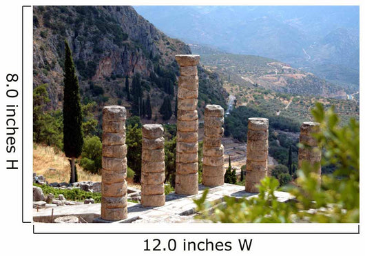 Delphi Wall Decal