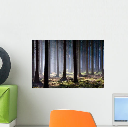 Awaken Forest Wall Decal