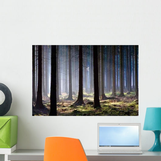 Awaken Forest Wall Decal