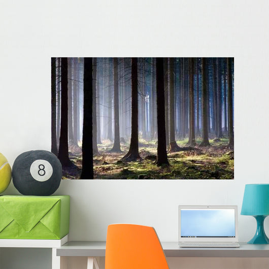 Awaken Forest Wall Decal