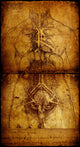 Photo Vitruvian Man Leonardo Wall Decal