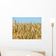 Corn Ready for Harvest Wall Decal