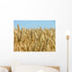 Corn Ready for Harvest Wall Decal