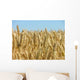 Corn Ready for Harvest Wall Decal