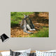 Maki Catta Assis Profil Wall Decal