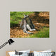 Maki Catta Assis Profil Wall Decal