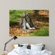 Maki Catta Assis Profil Wall Decal