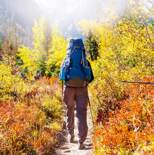 Hike Autumn Season Wall Decal