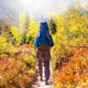 Hike Autumn Season Wall Decal