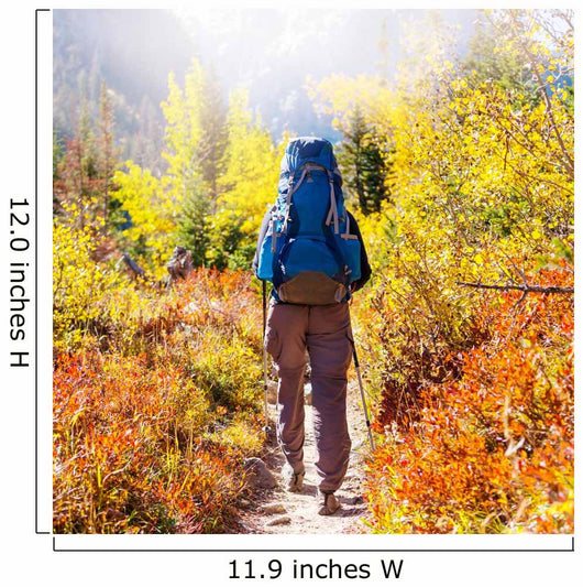 Hike Autumn Season Wall Decal
