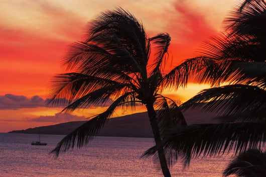 Maui Sunset Wall Decal