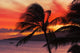 Maui Sunset Wall Decal