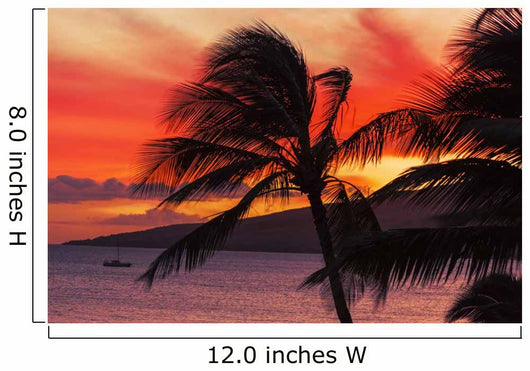 Maui Sunset Wall Decal