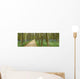 Hiking Forest Wall Decal