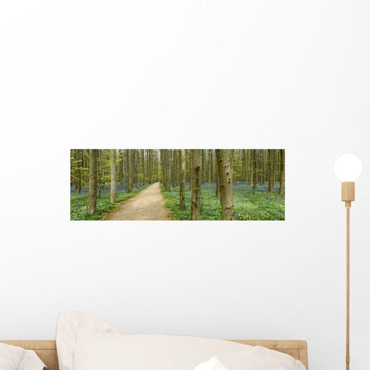 Hiking Forest Wall Decal