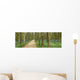 Hiking Forest Wall Decal