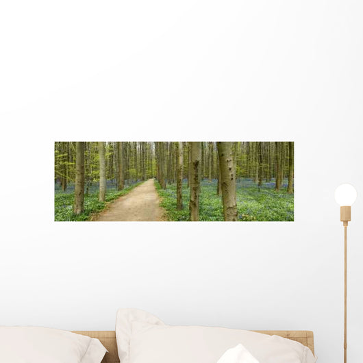Hiking Forest Wall Decal
