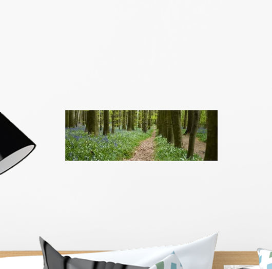 Chemin Dans La Foret Wall Decal