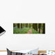 Chemin Dans La Foret Wall Decal